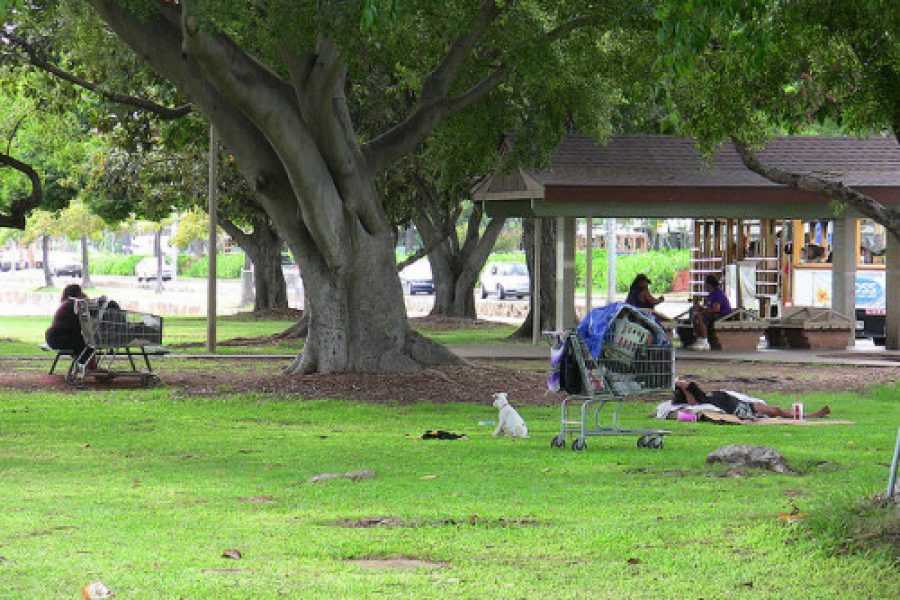 In Hawaii, Church Will Sponsor Igloos for Homeless People