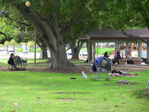 In Hawaii, Church Will Sponsor Igloos for Homeless People